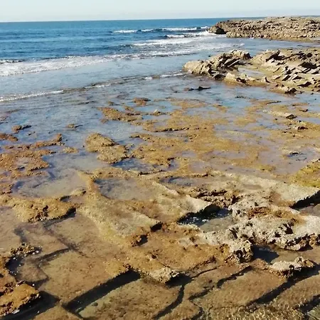 招待所 Sardinia For
