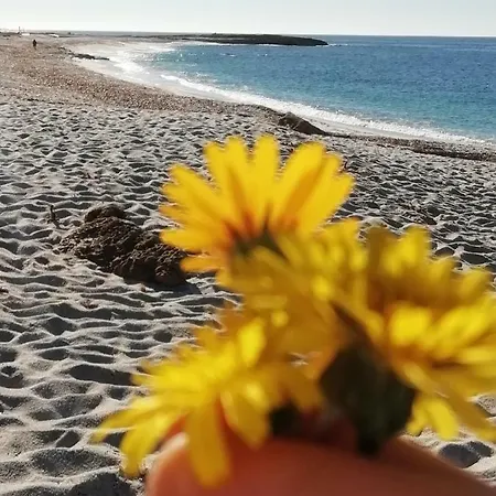 Sardinia For بيت ضيافة